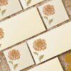 Chrysanthemum